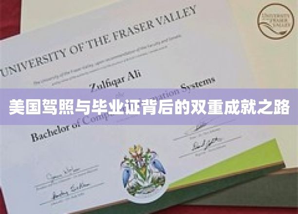 解锁美国留学生活的双重荣耀，驾照与毕业证背后的奋斗轨迹