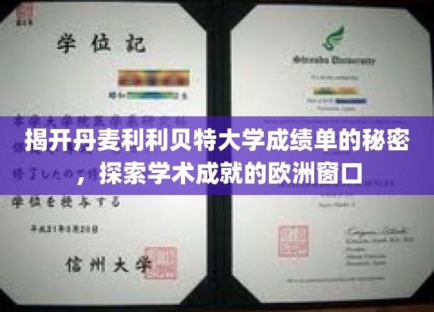 揭开丹麦利利贝特大学成绩单的秘密，探索学术成就的欧洲窗口