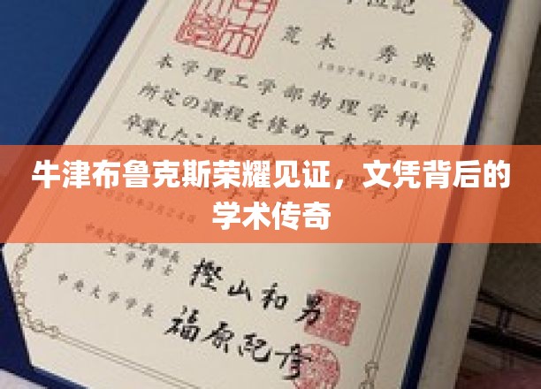牛津布鲁克斯卓越印记，文凭背后的学术璀璨故事