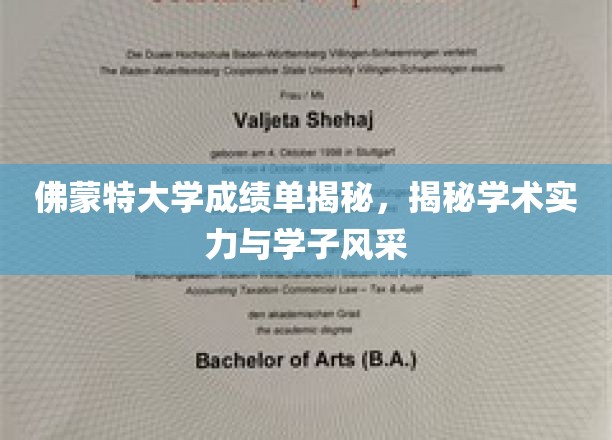 佛蒙特大学成绩单背后，一窥学术精英与青春风采的交织