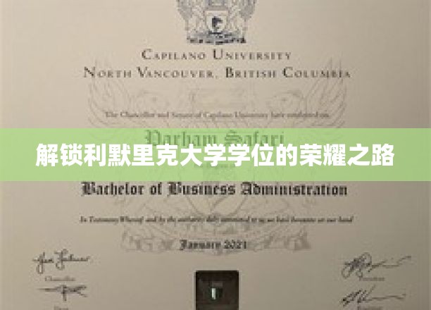 迈向利默里克大学荣耀学位的非凡征程