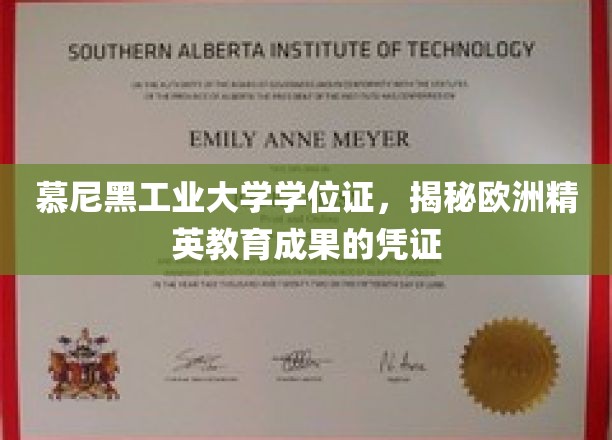 慕尼黑工业大学学位证，见证欧洲精英教育的卓越成果