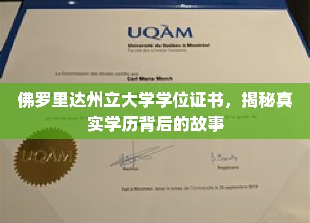 佛罗里达州立大学学位疑云，探寻真实学历背后的神秘面纱