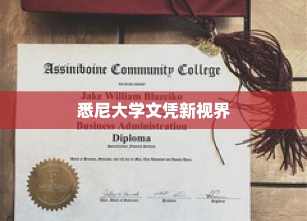 解锁悉尼大学新篇章，文凭背后的全球视野