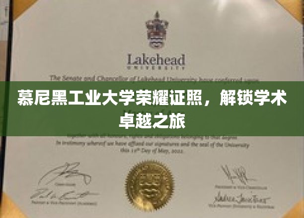 慕尼黑工大荣耀证书，开启学术巅峰探索之旅
