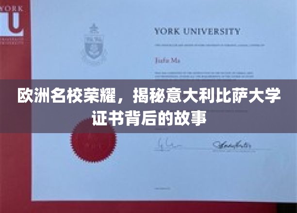探寻比萨荣耀，揭秘意大学术证书的传奇历程
