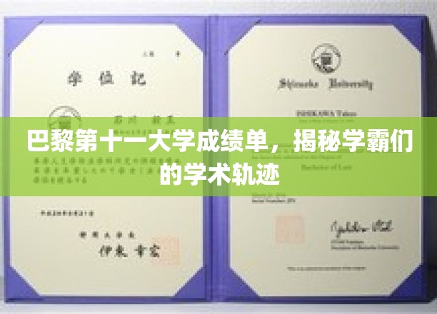 巴黎第十一大学成绩单，揭秘学霸们的学术轨迹