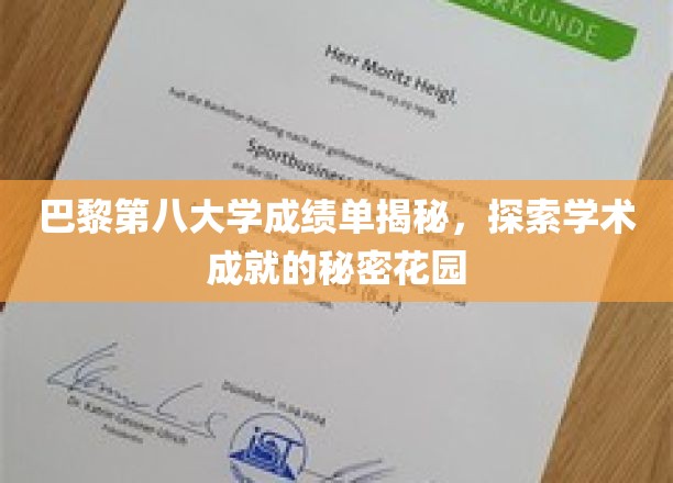 解码巴黎第八大学，揭开学术卓越的神秘面纱