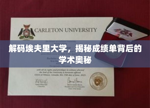 探寻埃夫里大学成绩单，解码学术成就的神秘面纱
