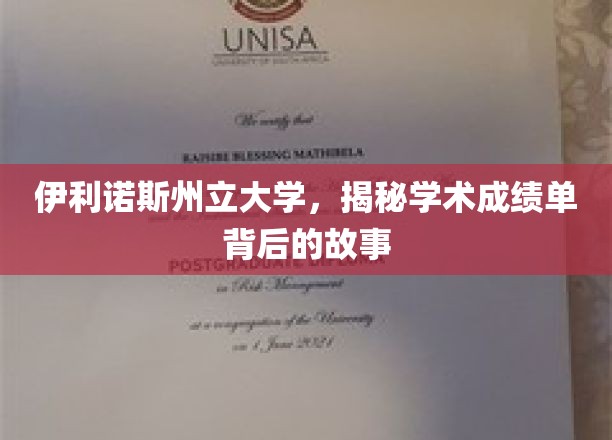 伊利诺斯州立大学，成绩单背后，探索学术旅程的奥秘