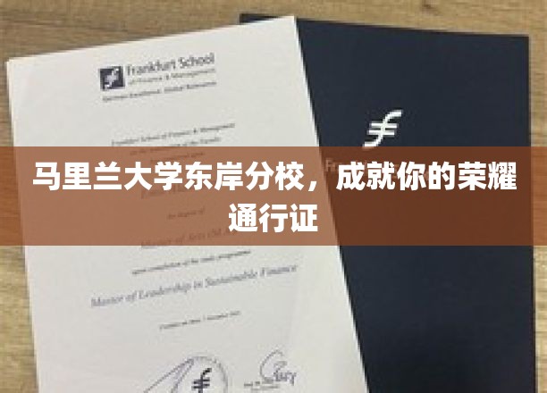 马里兰大学东岸分校，铸就未来荣耀的黄金起点
