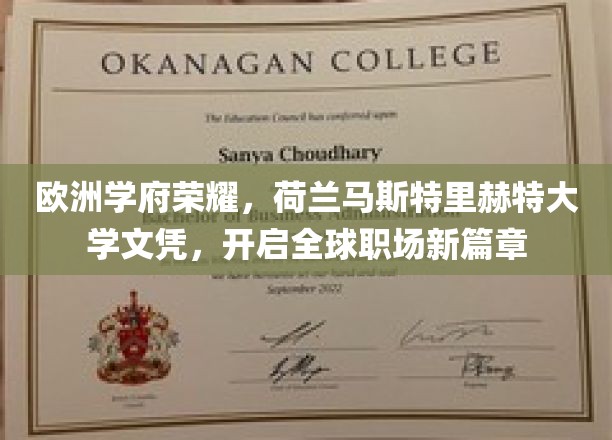 欧洲学府荣耀，荷兰马斯特里赫特大学文凭，开启全球职场新篇章