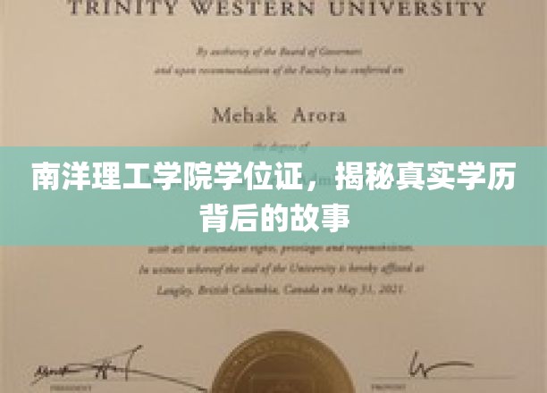 揭开南洋理工学院学位证的神秘面纱，探寻学历背后的真实历程