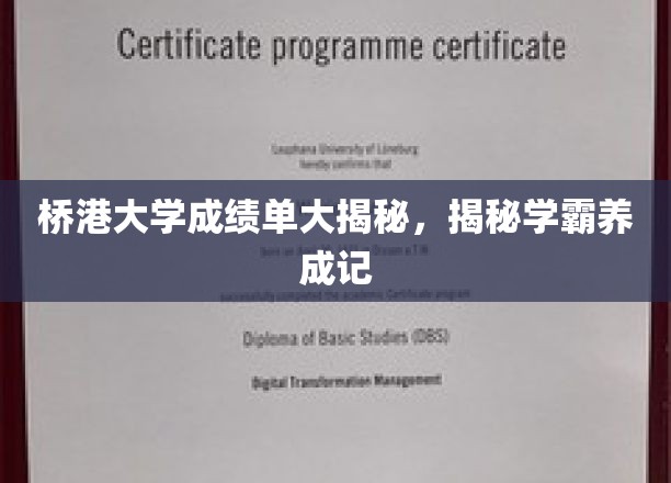 桥港学霸养成记，揭秘大学成绩单背后的秘密