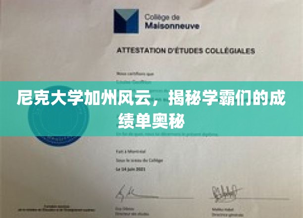 加州尼克大学，学霸成绩单背后的不为人知秘密