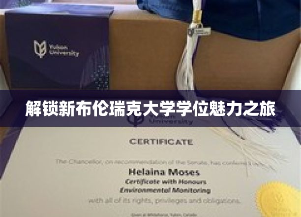 探索新布伦瑞克大学学位的魅力之旅