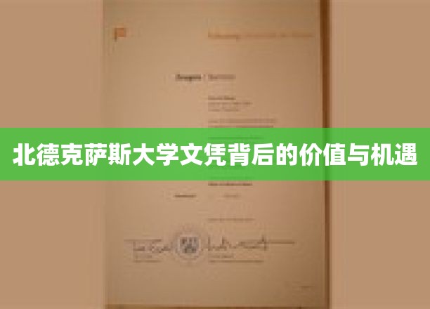 解锁北德克萨斯大学文凭的潜力与无限可能