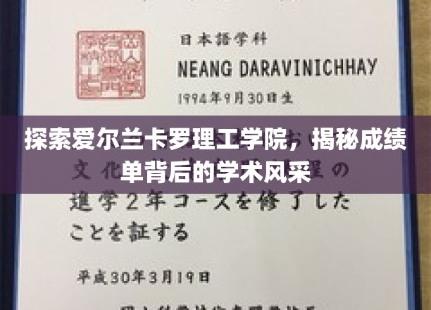揭开卡罗理工学院神秘面纱，一探成绩单背后的学术魅力