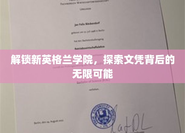 解码新英格兰学府，文凭之旅开启无限前程