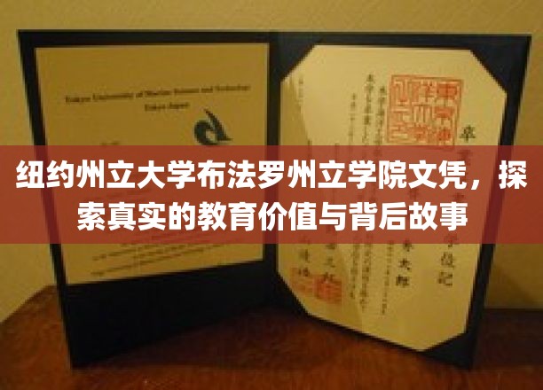 纽约州立大学布法罗分校文凭，探索真实的教育价值与背后故事