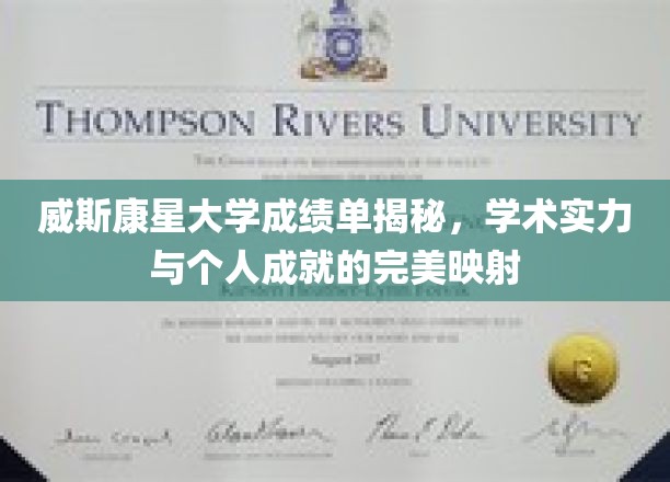 威斯康星大学成绩单背后的学术辉煌与个人荣耀映射