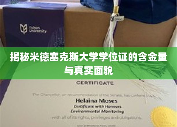 米德塞克斯大学学位证，揭秘其价值与真实影响力
