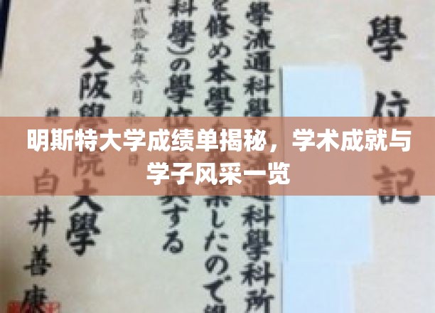 明斯特大学成绩单揭秘，学术成就与学子风采一览
