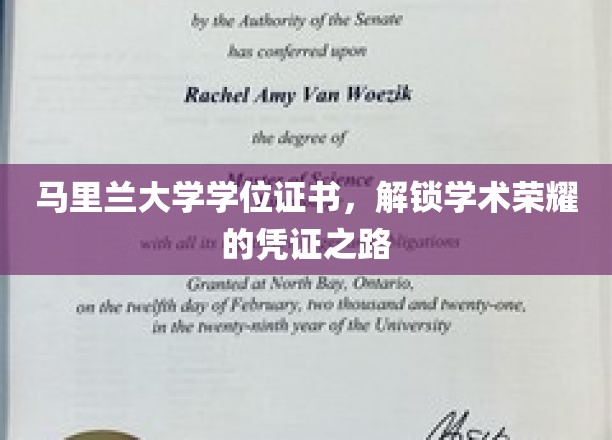马里兰大学学位证书，开启学术巅峰之旅的荣耀通行证