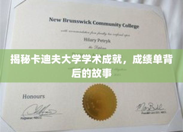 卡迪夫大学，探寻学术辉煌背后的秘密角落