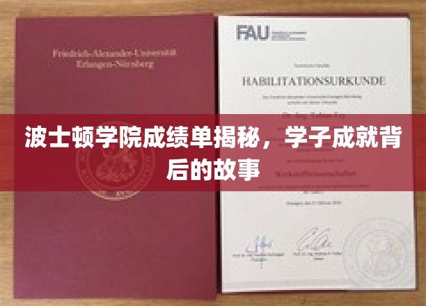 波士顿学院成绩单揭秘，学子成就背后的故事