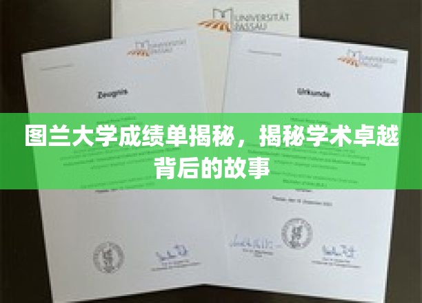图兰大学成绩单揭秘，一窥学术卓越背后的故事