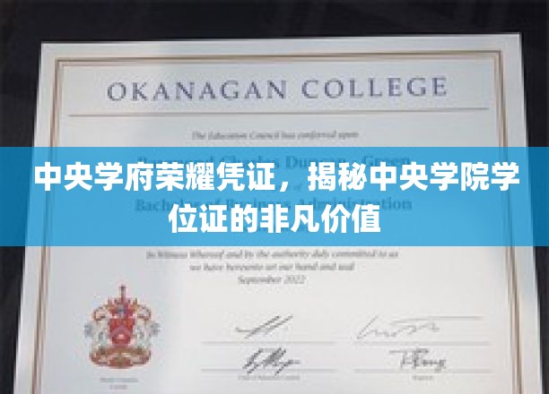 中央学府学位证，揭开学术荣耀背后的神秘面纱
