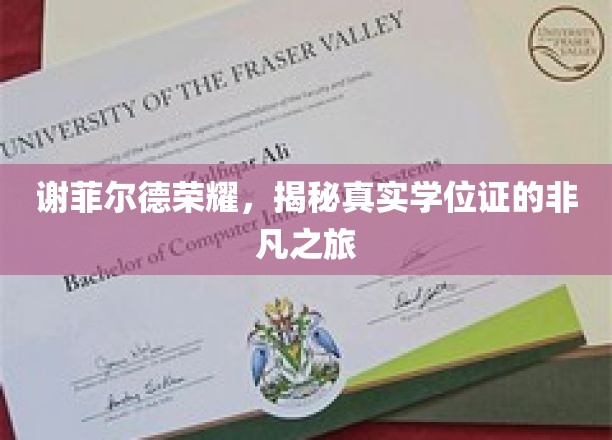 探寻谢菲尔德荣耀，学位证的传奇蜕变之旅