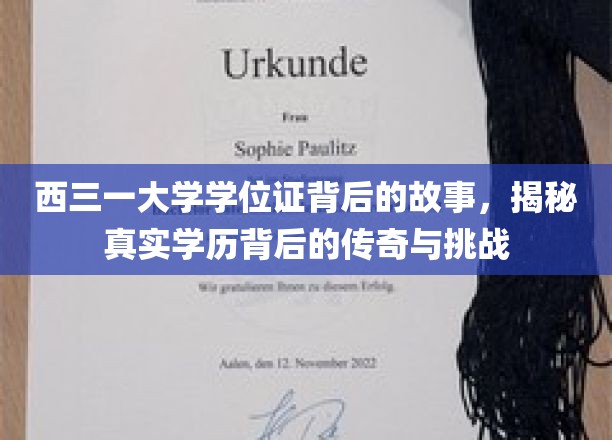 西三一学位证背后的传奇历程，学历背后的挑战与荣耀揭秘