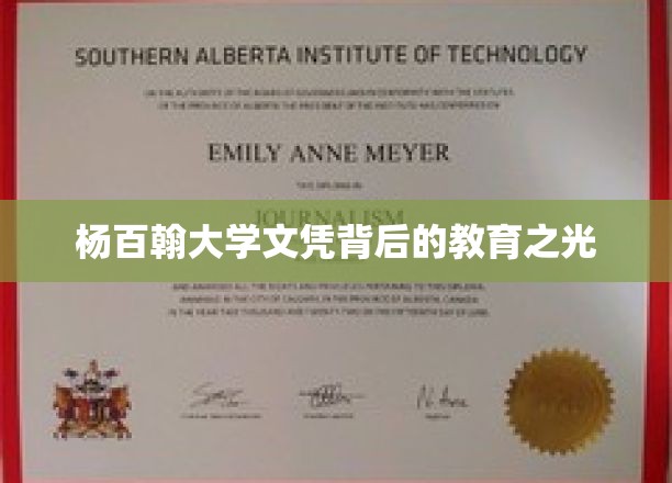 杨百翰大学文凭，探寻其背后的教育魅力与价值