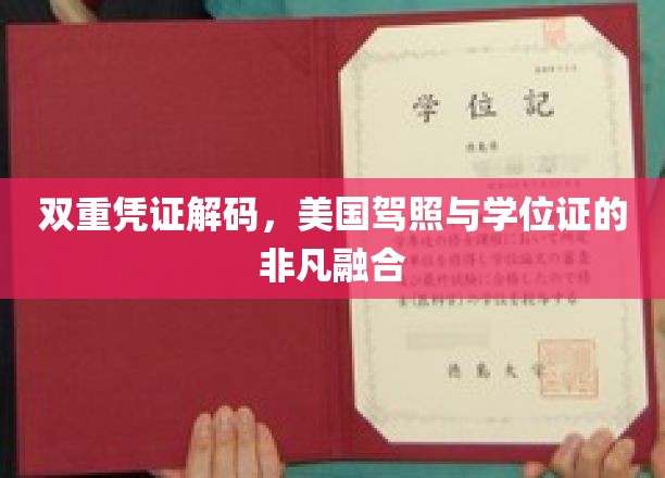 驾照与学位证的双重认证，解锁美国身份的双重密码