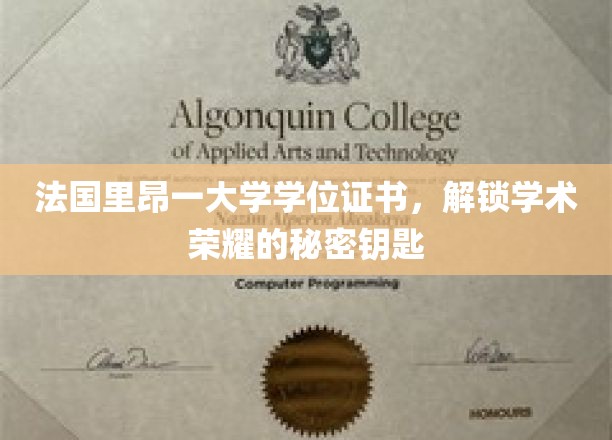 探寻法国里昂大学学位证书，解锁学术巅峰的荣耀凭证