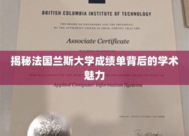 揭秘法国兰斯大学成绩单背后的学术魅力