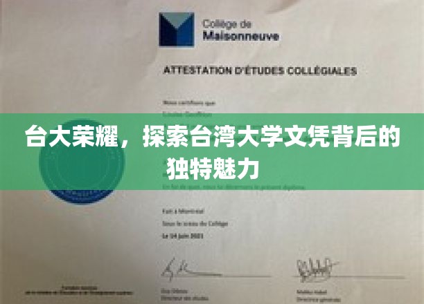 台湾大学之光，解码文凭背后的非凡吸引力