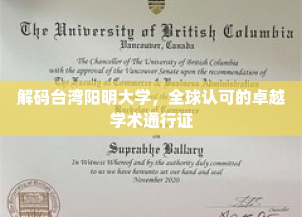 台湾阳明大学，国际认可的学术精英摇篮