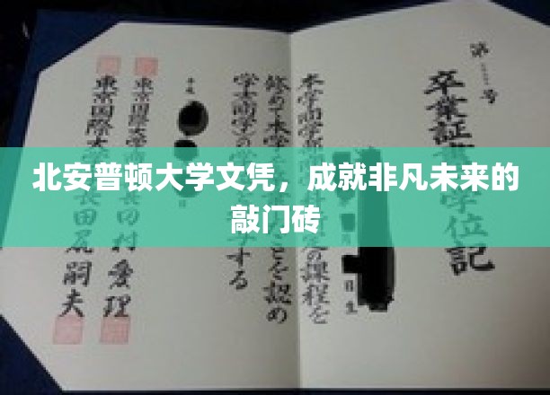 北安普顿大学文凭，开启非凡未来的钥匙