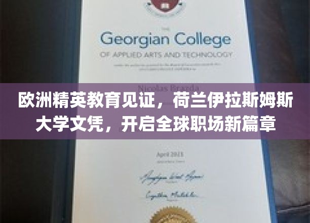 跨国职场通行证，荷兰伊拉斯姆斯大学文凭，引领欧洲精英教育新高度