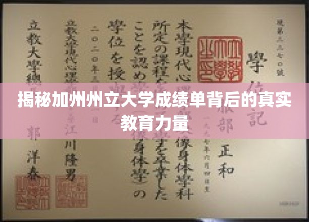 加州州立大学成绩单解码，探秘教育成就的奥秘源泉