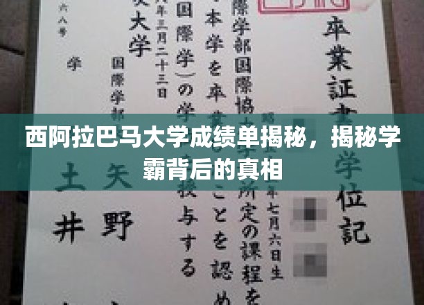 揭开西阿拉巴马大学学霸的秘密，成绩单背后的不为人知故事