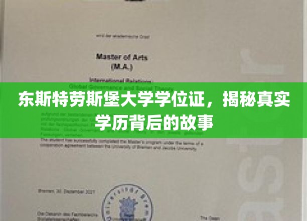 东斯特劳斯堡大学学位证书，探索真实学历背后的故事