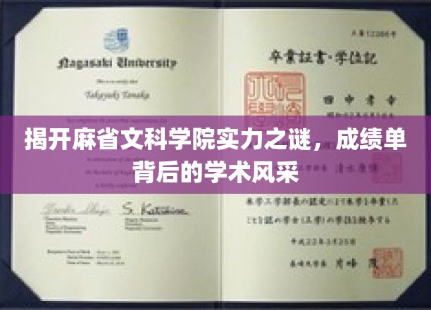 麻省文科学院实力大揭秘，揭秘成绩单背后的学术魅力