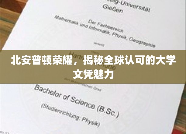 北安普顿荣耀，揭秘全球认可的大学文凭魅力