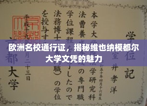 欧洲精英学府通行证，维也纳模都尔大学文凭的独到魅力
