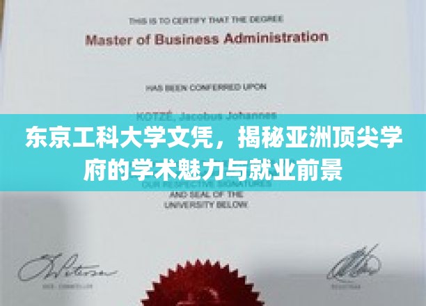 亚洲精英学府风采，揭秘东京工科大学背后的学术实力与广阔就业蓝图