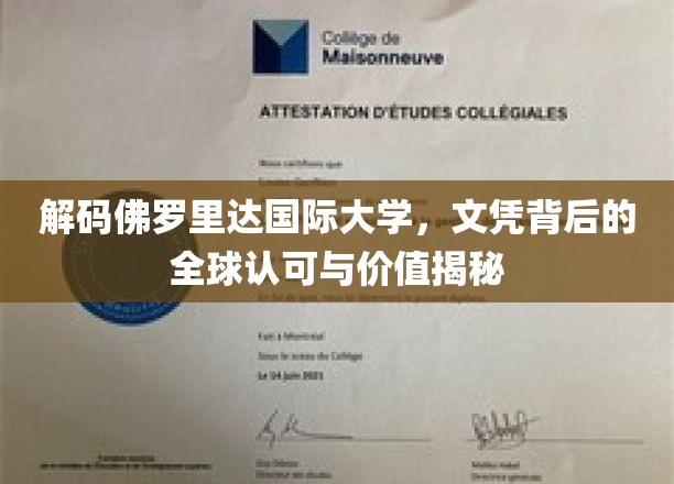 解码佛罗里达国际大学，文凭背后的全球认可与价值揭秘